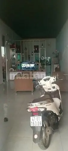 6031405 ảnh đại diện 1