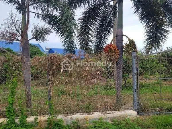 Bán Đất Long Mỹ Thị Trấn Phước Hải Gần Biển Diện Tích 250M2 10M X 25M 200M2 Tc