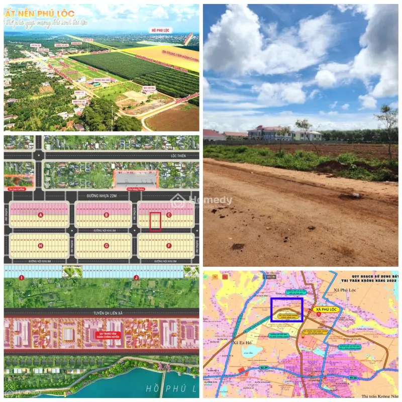 6030847 ảnh đại diện 1