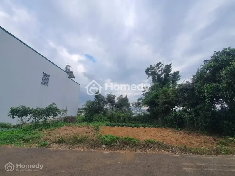 6031771 ảnh đại diện 1
