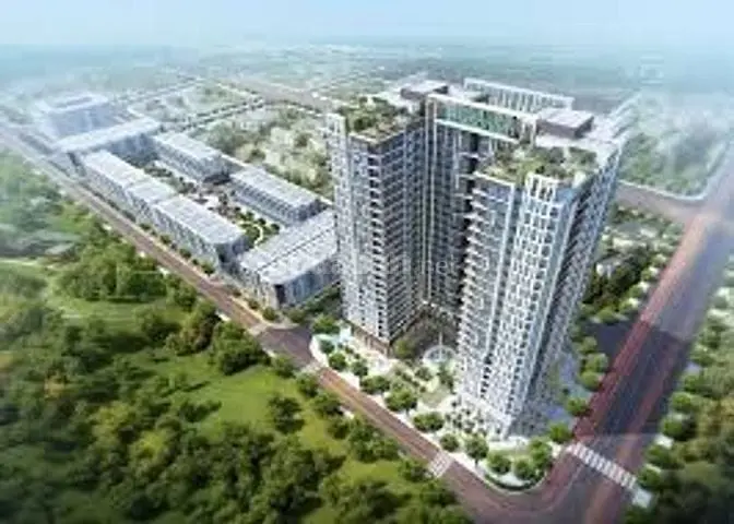 6031598 ảnh đại diện 1