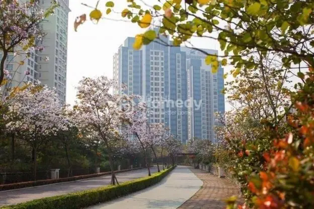 Ciputra Hà Nội Có Một Số Căn Cần Bán Tháng 1 Đầu Năm Mới