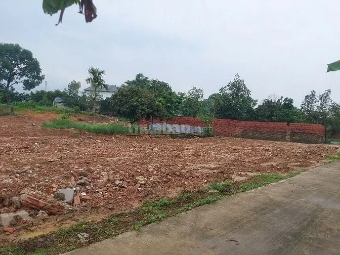 6031851 ảnh đại diện 1