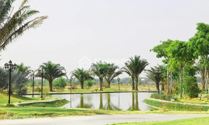 Đất Nên Nhơn Trạch Mặt Tiền Đường 25C Kết Nối Trực Tiếp Sân Bay Long Thành.