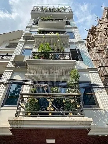 6031455 ảnh đại diện 1