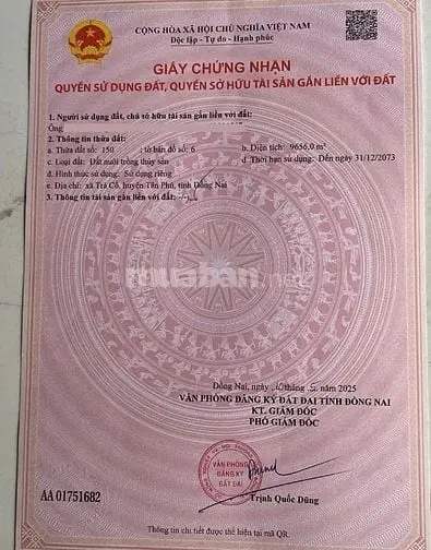 Cần Bán Hơn 1Ha Đất Tại Trà Cổ, Tân Phú, Đồng Nai – Cách Suối Mơ 1Km