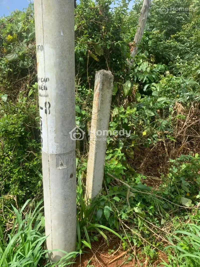 Bán Đất Thị Xã Buôn Hồ - Đắk Lắk Giá 550.00 Triệu