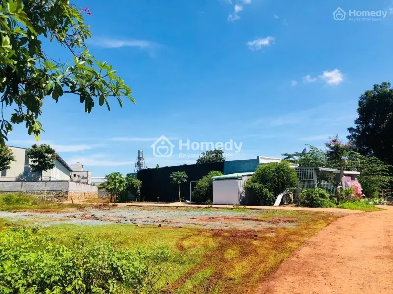 6031169 ảnh đại diện 1