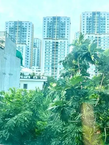 Chính Chủ Bán Hoạc Cho Thuê Khách Sản Ở Quận 7 Khu Tiện Ích Xung Quanh