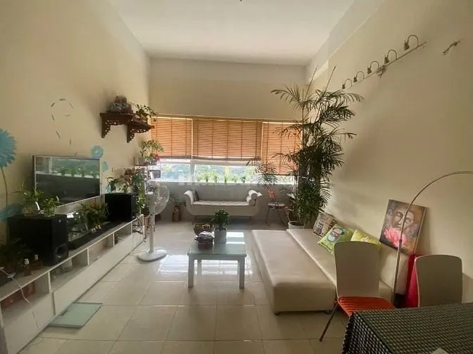 6031597 ảnh đại diện 1