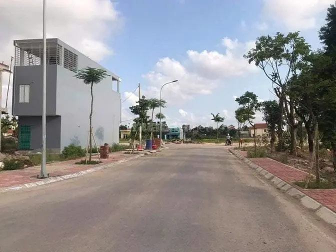 6031442 ảnh đại diện 1