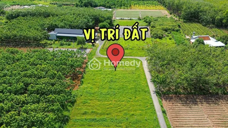 Đất Thạnh Đức, Gò Dầu, Tây Ninh, Shr 105M2/ 339 Triệu