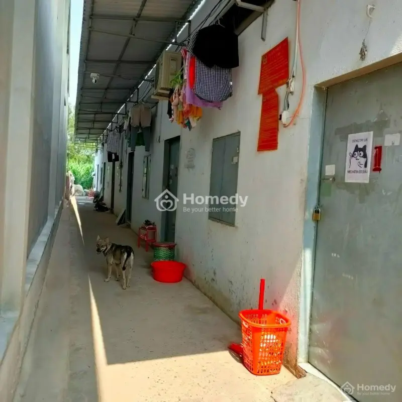 Rẻ Nhất!!! Bán Gấp Dãy Trọ 265M2 Thổ Cư Mặt Tiền Nhựa Ngay Kcn Hiệp Thạnh Gò Dầu Tây Ninh Giá .
