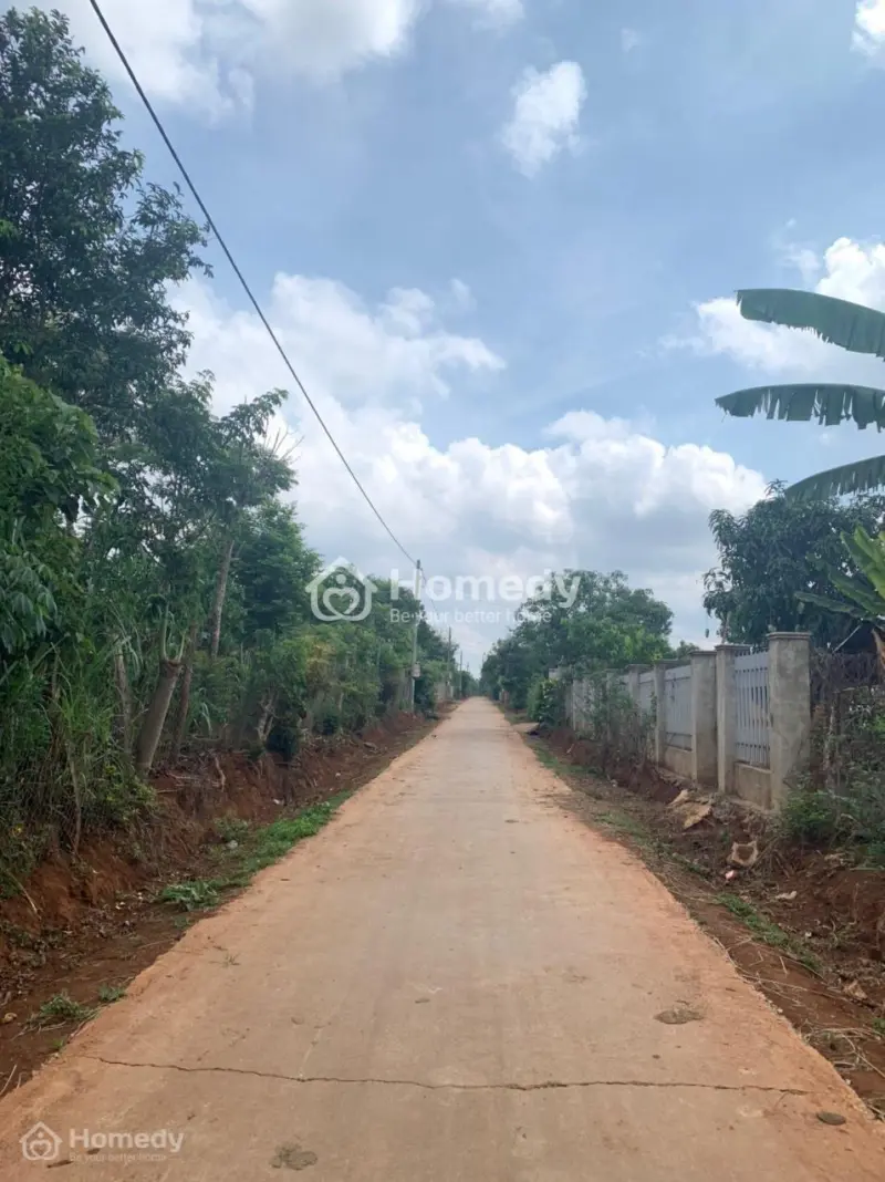 6030849 ảnh đại diện 1