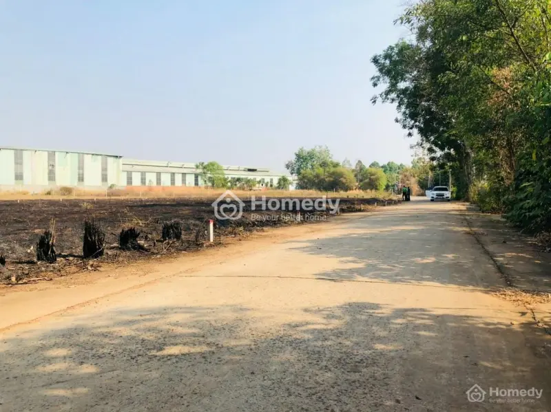 6031181 ảnh đại diện 1