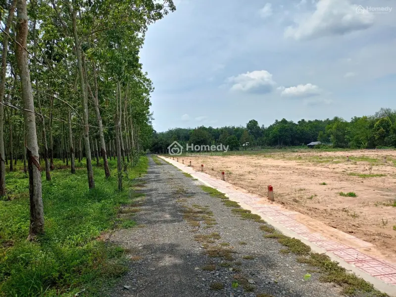 Mảnh Đất Vàng Tại Thạnh Đức, Gò Dầu, Tây Ninh - Đầu Tư Sinh Lời Ngay Hôm Nay