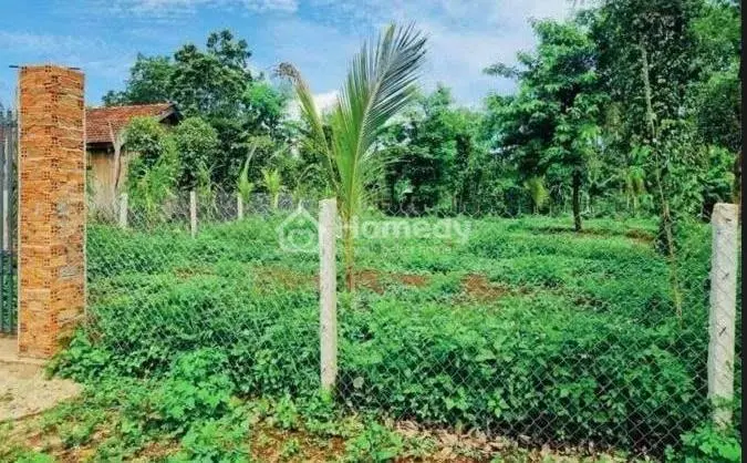 Chính Chủ Bán Vườn 2500M2 Có Nhà Cấp 4 Ngay Ubnd Tân Hiệp - Phú Giáo - Bình Dương Giá Rẻ.