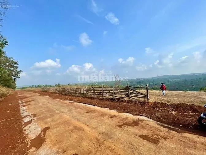 6032404 ảnh đại diện 1