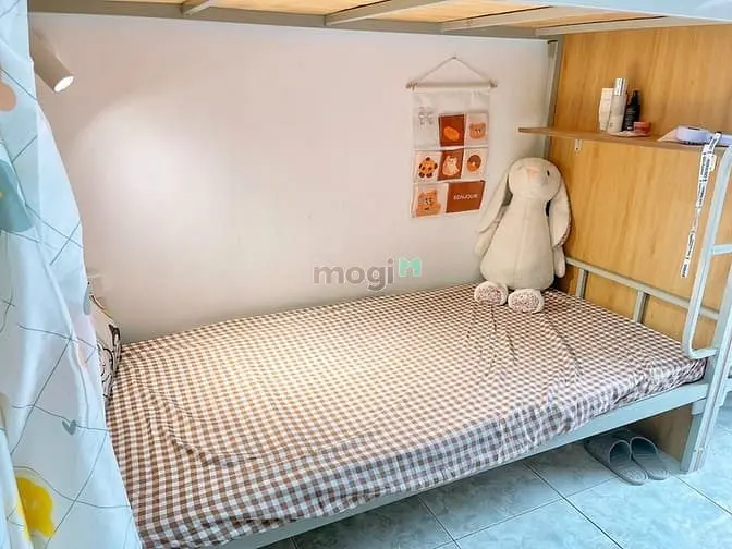 6032175 ảnh đại diện 1