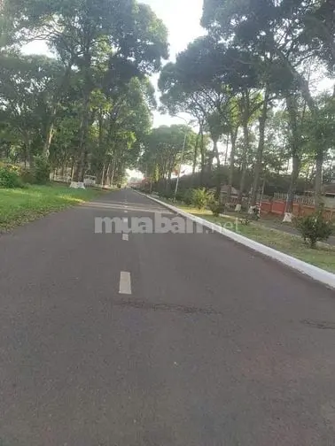 Hàng Ngộp,Nền 5X32 Thổ Cư,Sổ Riêng Ngay Trung Tâm Phường-Giá Chỉ 600Tr