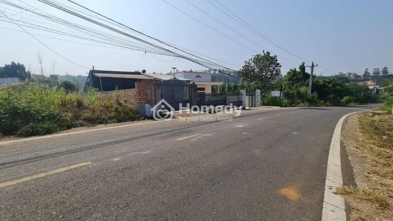 6032332 ảnh đại diện 1
