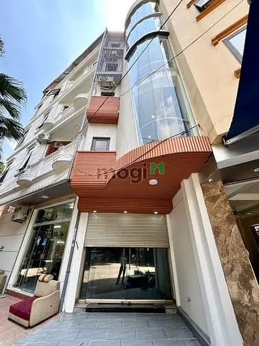 6032142 ảnh đại diện 1