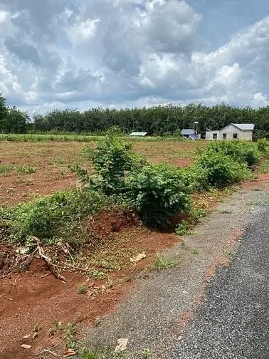 Dự Án Đất Nền Long Hà, Gần 2 Kcn