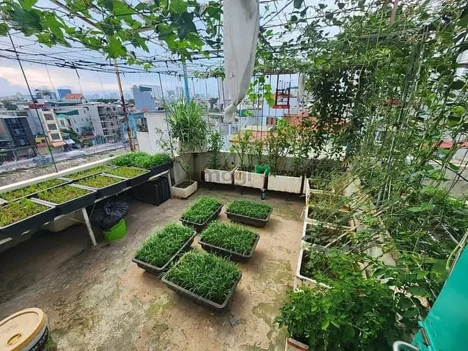 Bán Nhà 55M2 X 5 Tầng, Giá 9.9 Tỷ, Ngõ Nông Ô Tô, Ngọc Hồi, Hoàng Mai
