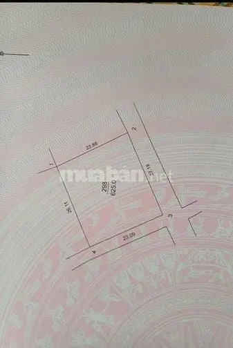 🏡 Bán 118M Lô Đất Đẹp Tại Thôn Phú Ninh - Minh Phú - Sóc Sơn