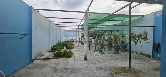 6032889 ảnh đại diện 1