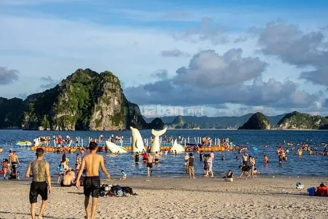 6032838 ảnh đại diện 1