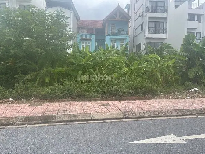 57M2 Đất Ngõ Ô Tô Mặt Tiền Rộng Sổ Đỏ Mới Thạch Bàn Long Biên /