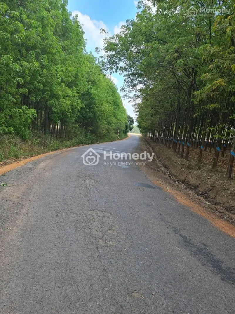 Bán Gấp Lô Đất 1100M2 Thổ Cư Giá 250Tr Sổ Riêng
