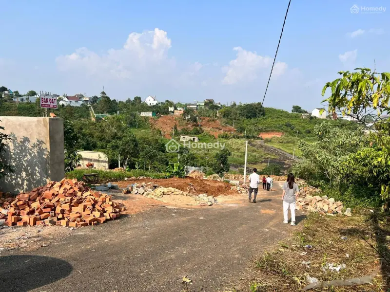 6031984 ảnh đại diện 1