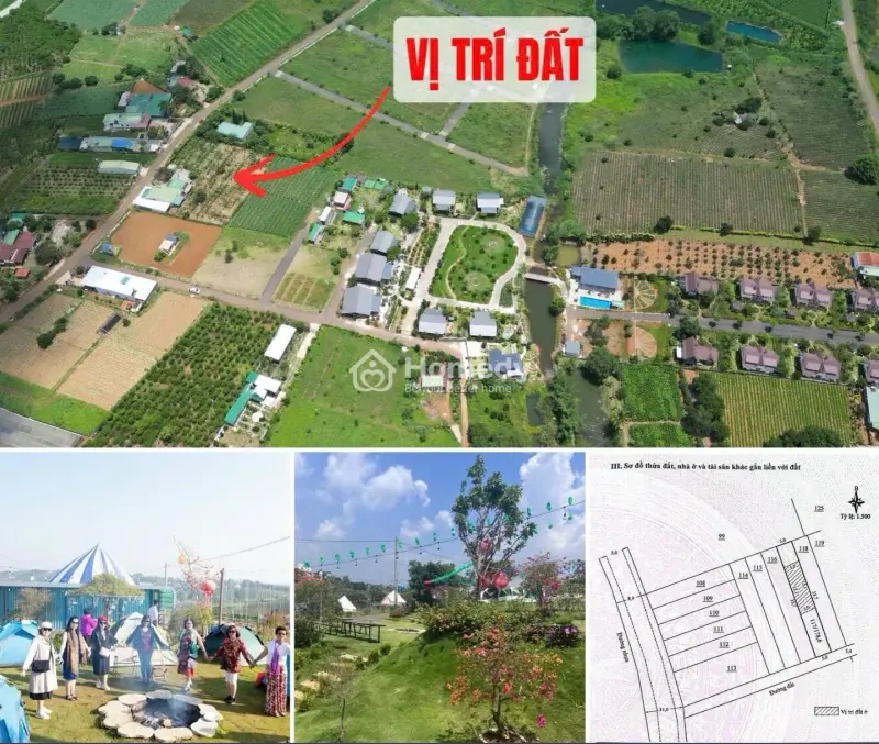6031997 ảnh đại diện 1