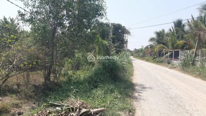 6032819 ảnh đại diện 1