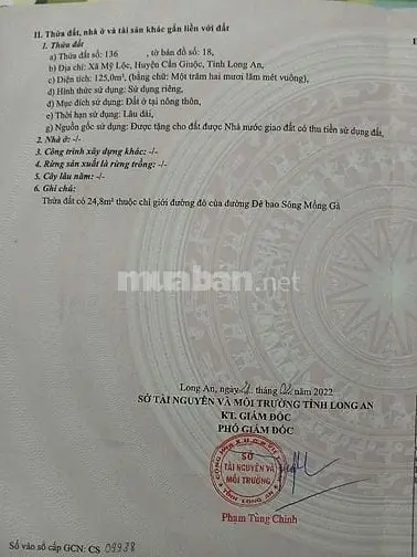 6032796 ảnh đại diện 1
