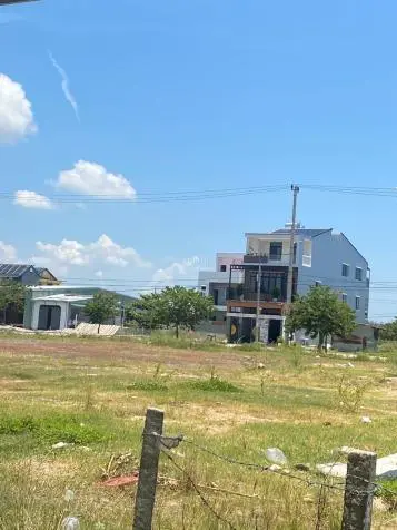 6032702 ảnh đại diện 1
