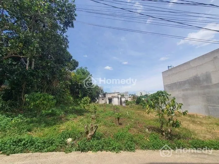 6032221 ảnh đại diện 1