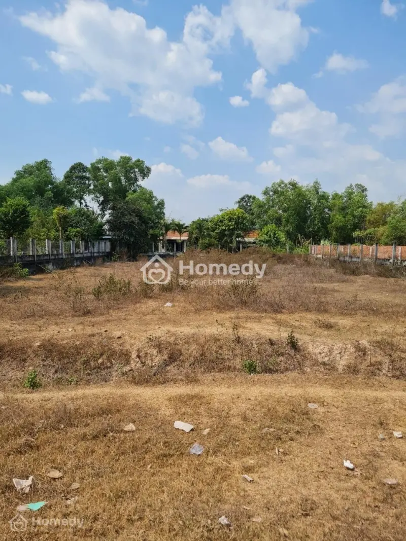 Bán Gấp Đất Nông Nghiệp Mặt Tiền Đường Đt 821, Ấp Lộc Hòa, Xã Lộc Giang, Huyện Đức Hòa, Long An.