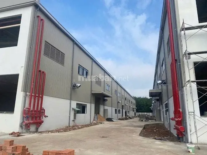 Cho Thuê Xưởng Trong Kcn Tân Bình Bình Dương , 3500M2, 6600M2, 9000M2