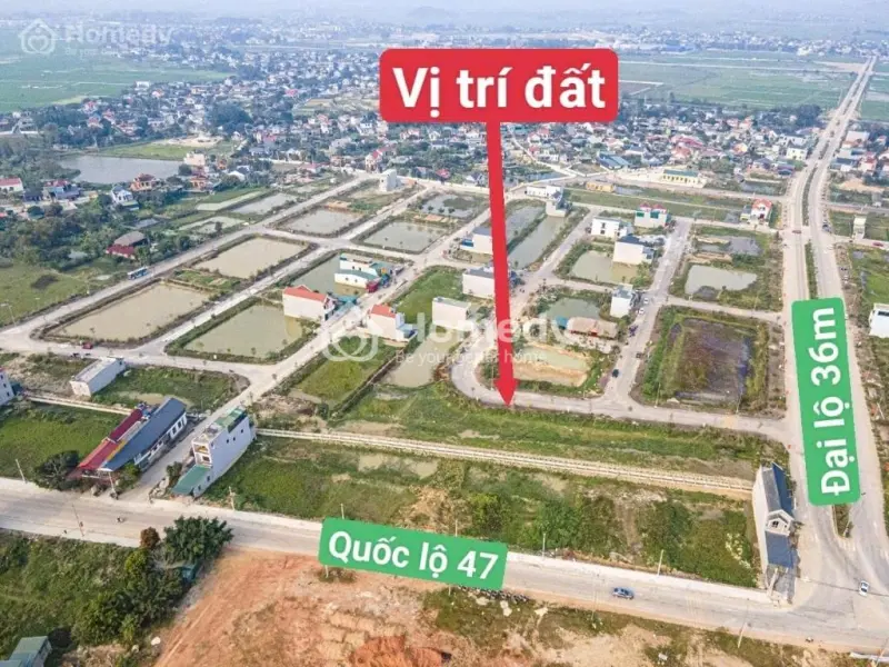 6033195 ảnh đại diện 1