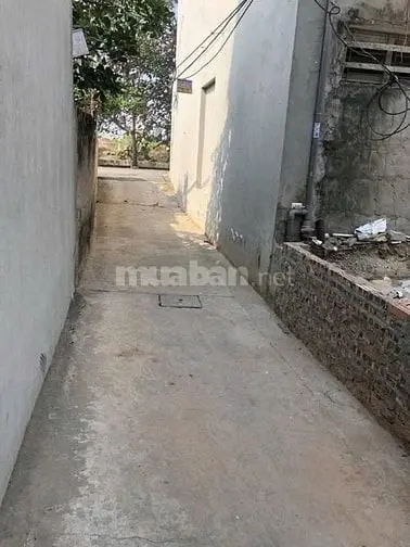 Bán Gấp 56M Đất Thượng Phúc, Tả Thanh Oai Giá 4,5 Tỷ