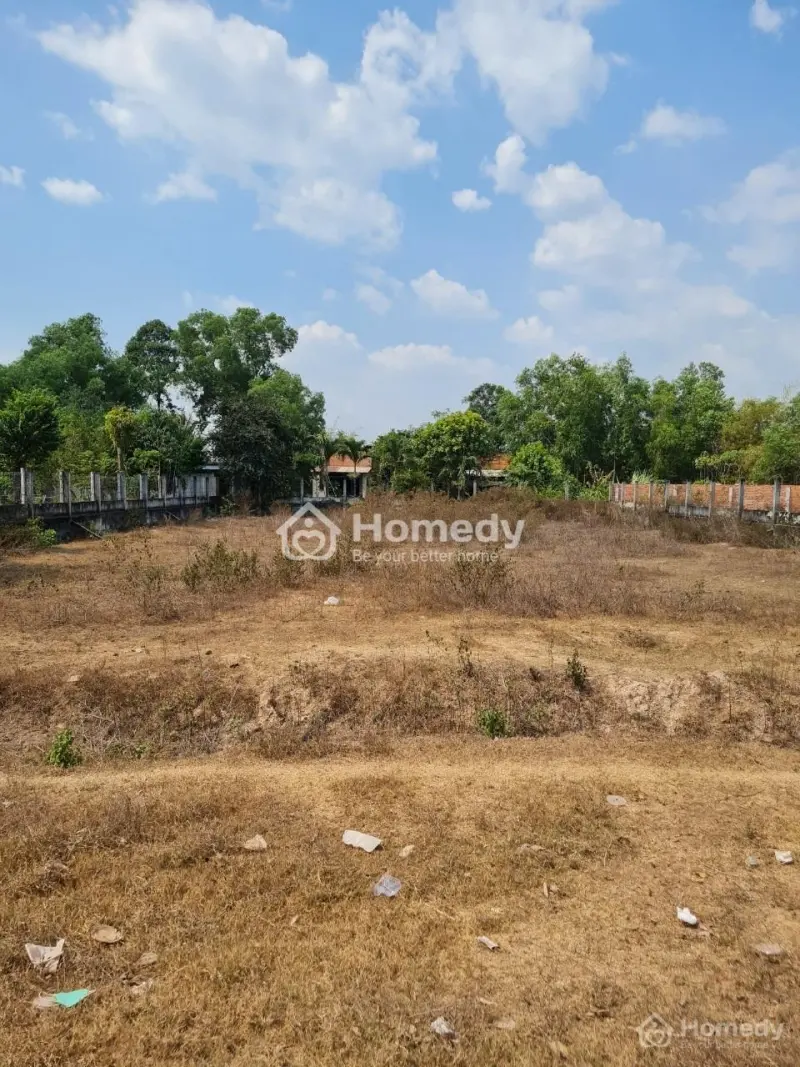 Bán Đất Mặt Tiền Đường Đt 821, Tại Xã Lộc Giang, Huyện Đức Hòa, Tỉnh Long An