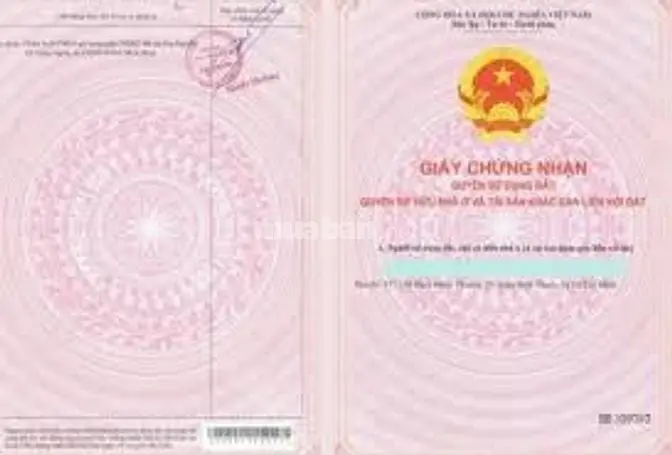 Bán Toàn Bộ Cửa Hàng Mặt Đường Phố Nguyễn Khuyến, 1Mặt Phố, 1Mặt Ngõ