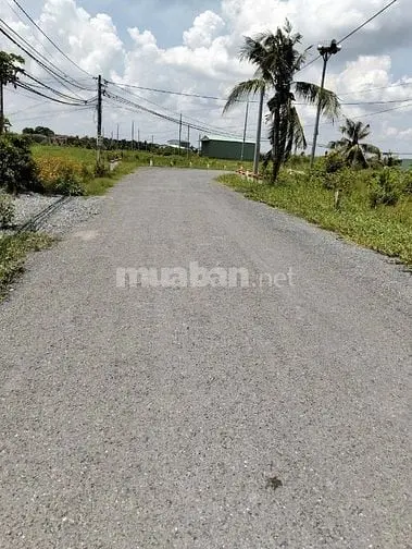 Bán Đất Tại Nguyễn Văn Mỹ, Bình Tịnh, Tân Trụ, Long An, Giá 780Tr