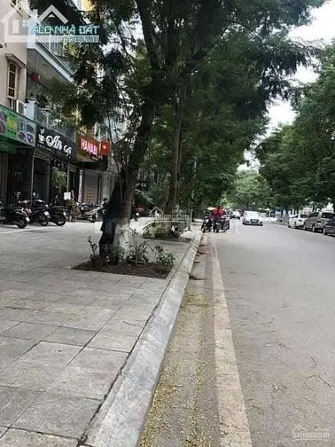 Vip - Mặt Phố Vạn Phúc - Vạn Bảo - 55M - 5 Tầng - Đường Hè 20M