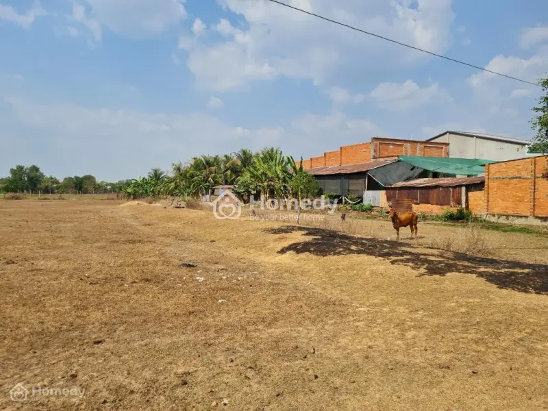 Bán Gấp Lô Đất Mặt Tiền Đường Đt 821, Xã Lộc Giang, Huyện Đức Hòa, Tỉnh Long An