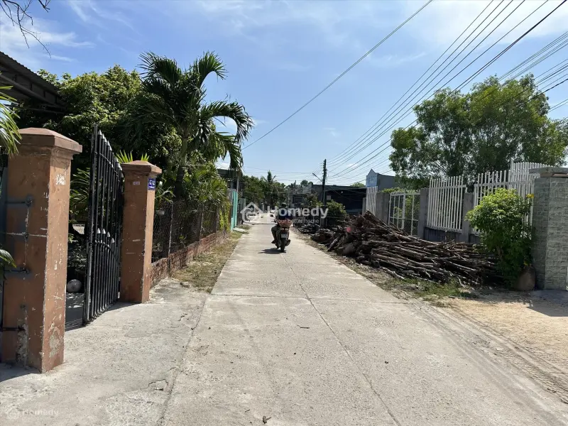 6033181 ảnh đại diện 1
