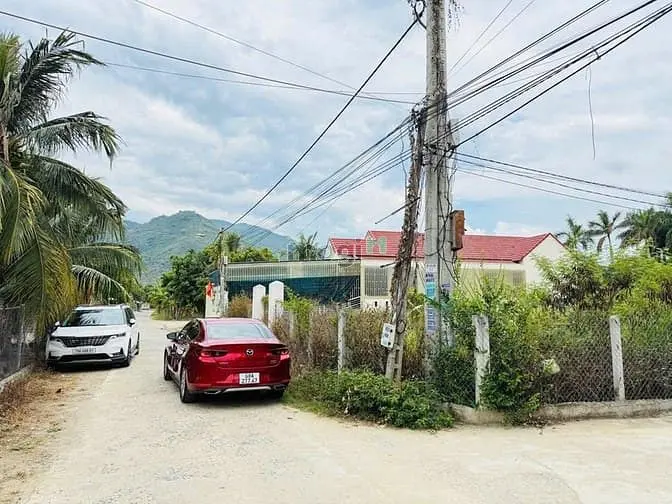 6033126 ảnh đại diện 1